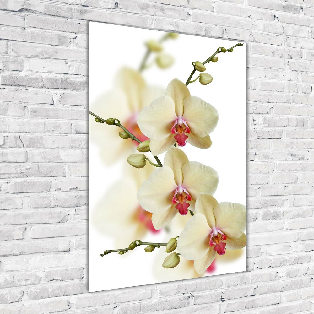 Glass wall art Orchid