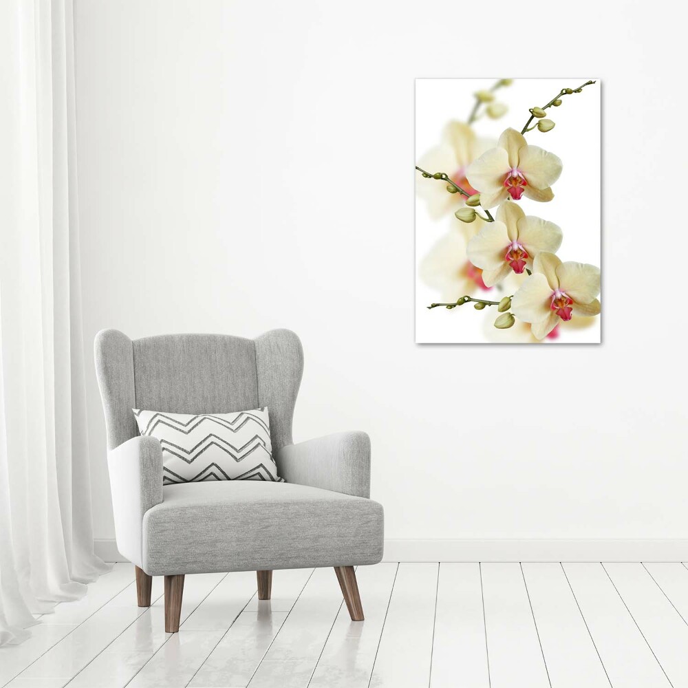 Glass wall art Orchid