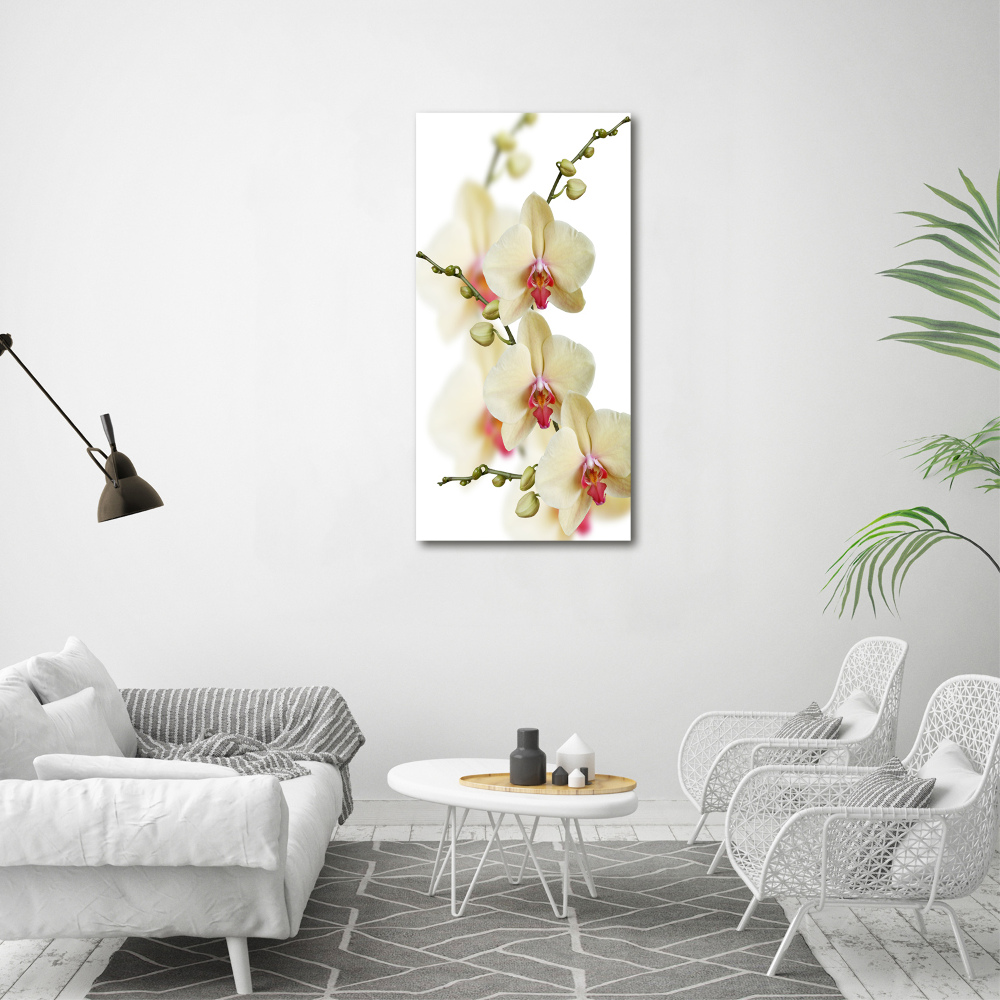 Glass wall art Orchid