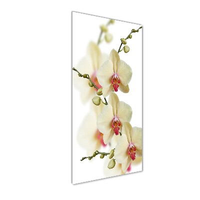 Glass wall art Orchid