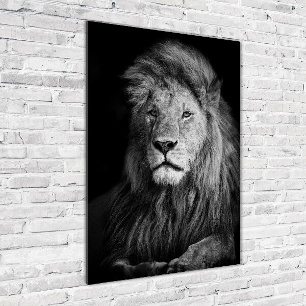 Wall art on glass Portrait of a lion