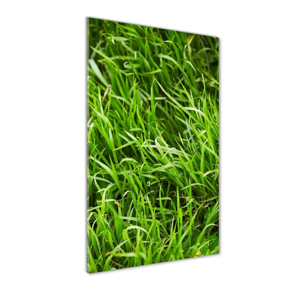 Glass art picture Grass