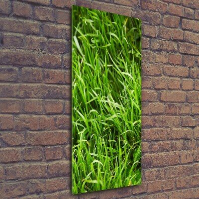 Glass art picture Grass