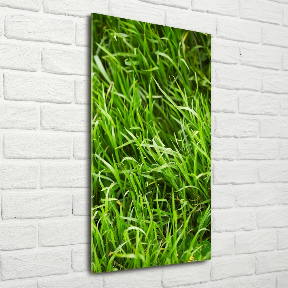 Glass art picture Grass