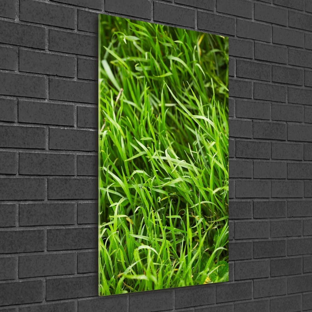 Glass art picture Grass