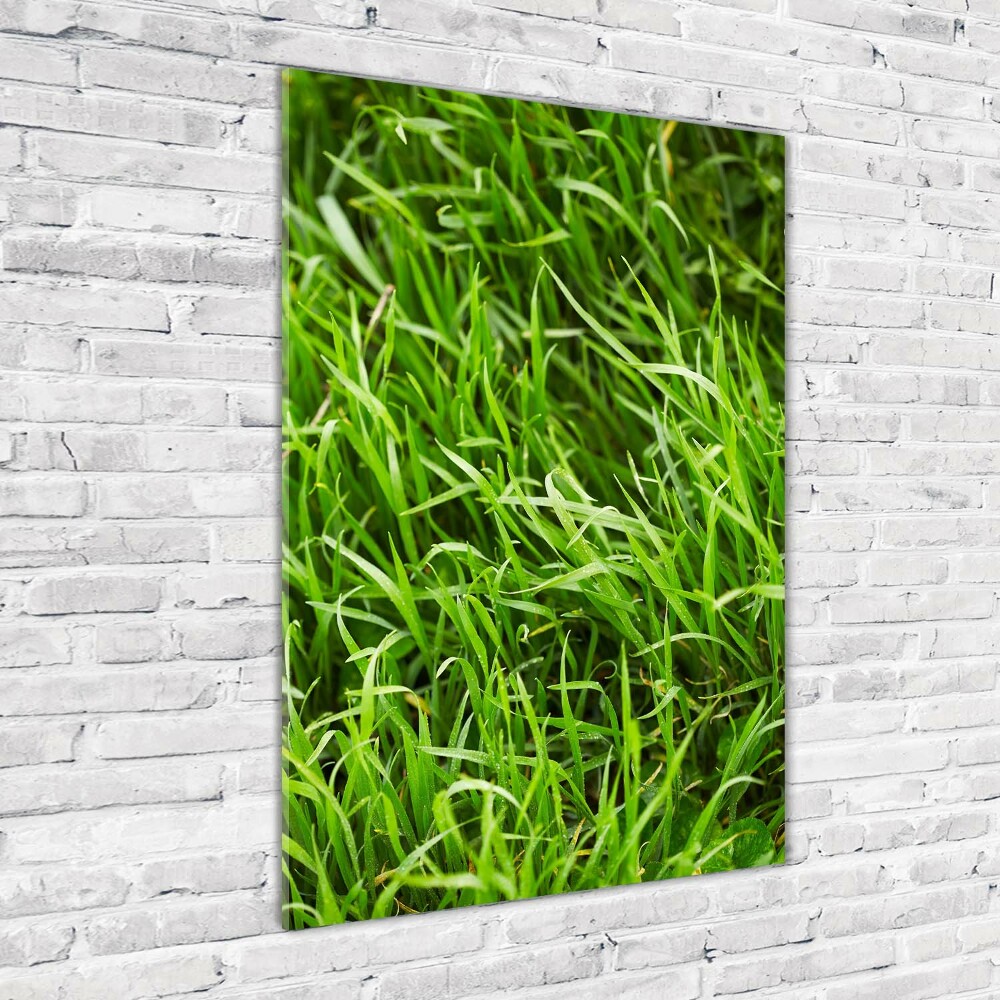 Glass art picture Grass