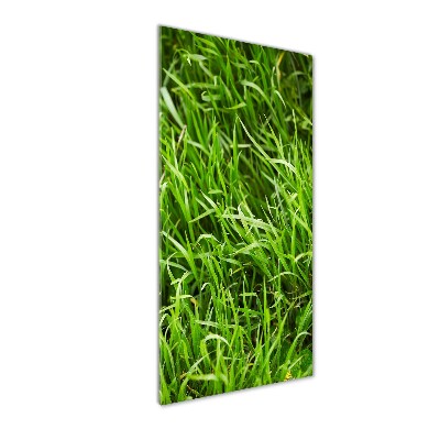 Glass art picture Grass