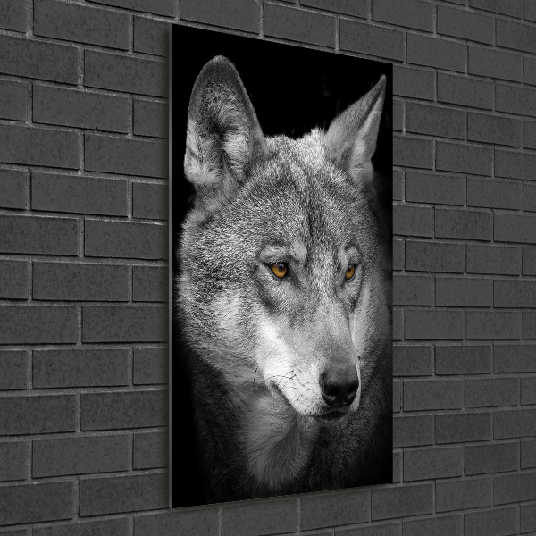 Wall art on glass Portrait of a wolf