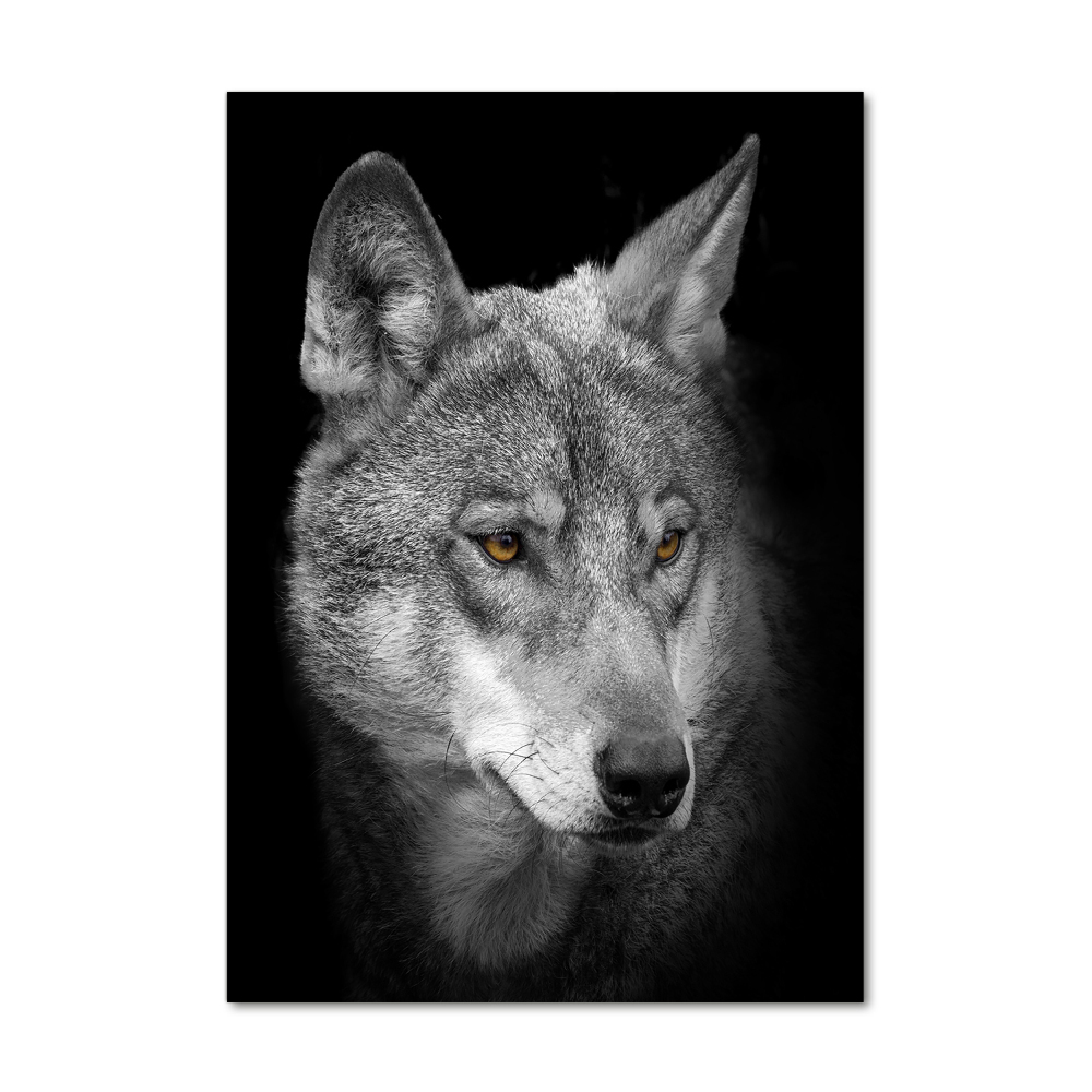 Wall art on glass Portrait of a wolf