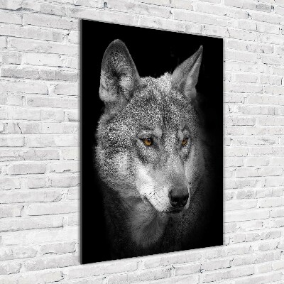 Wall art on glass Portrait of a wolf