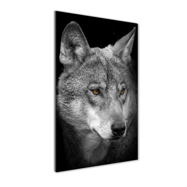 Wall art on glass Portrait of a wolf