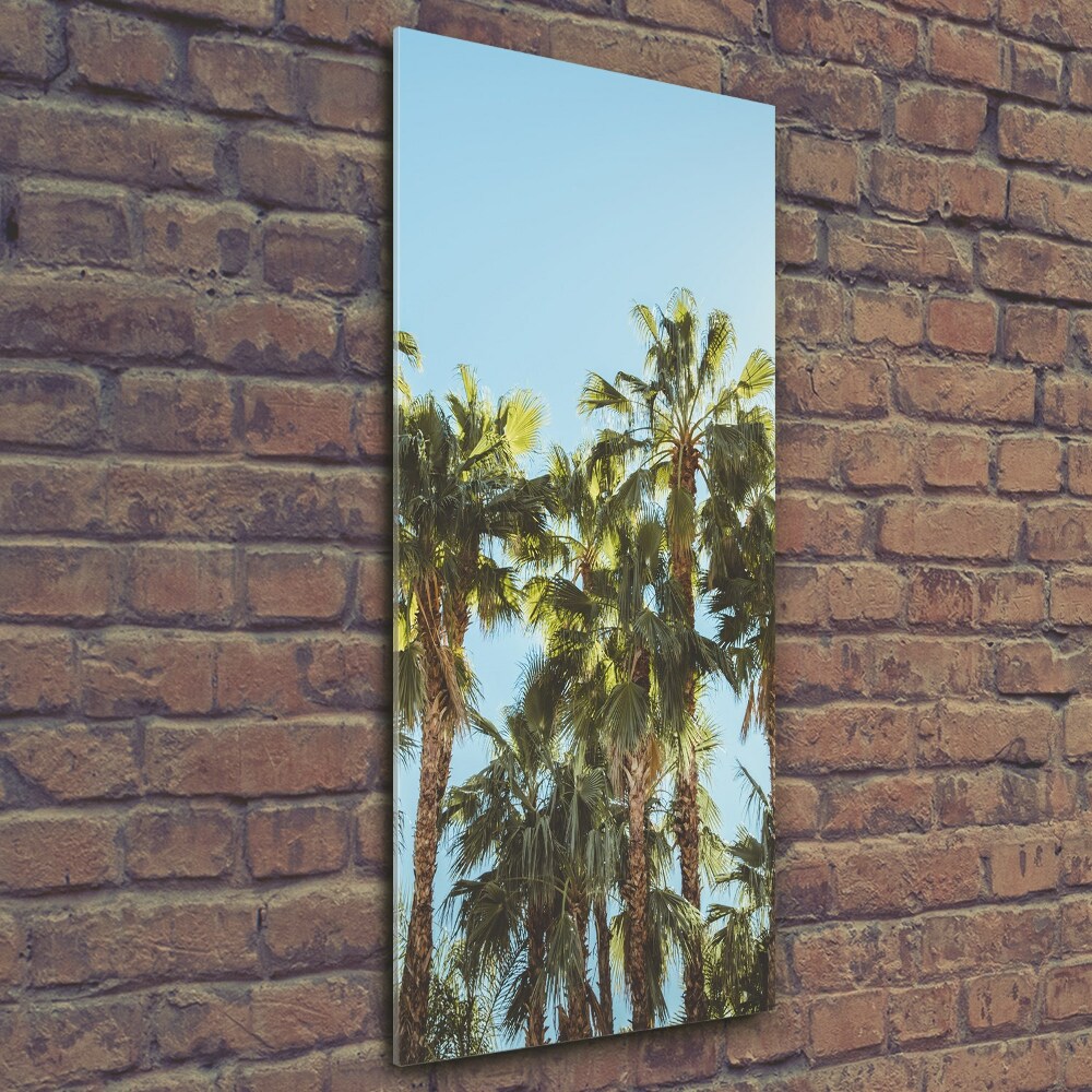 Print on a a glass Palm trees