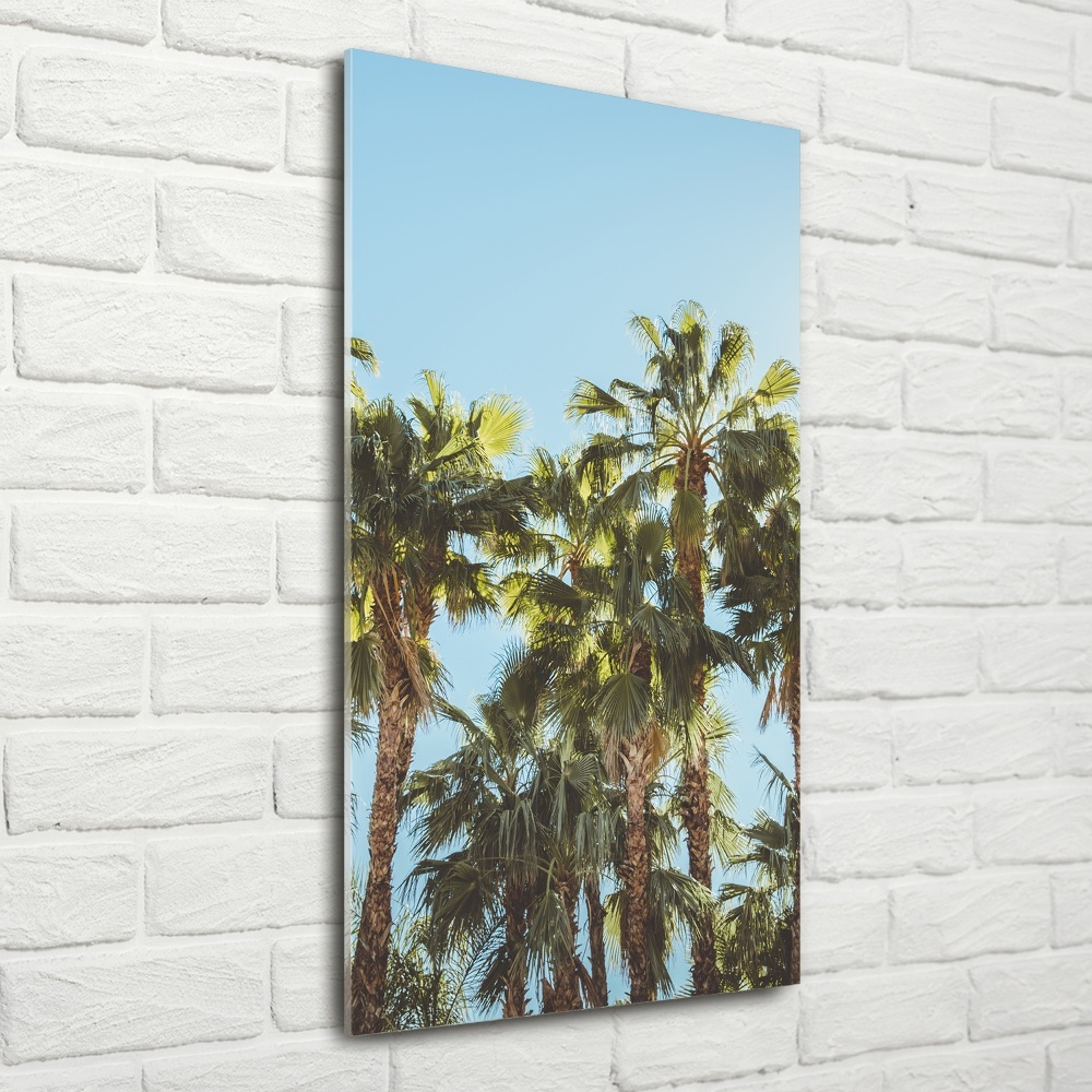 Print on a a glass Palm trees