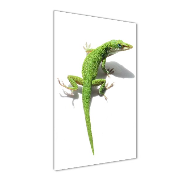 Print on a a glass Green lizard