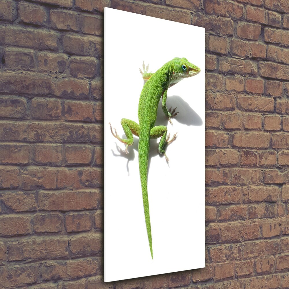 Print on a a glass Green lizard