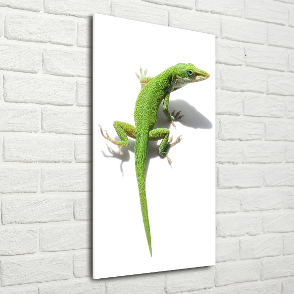 Print on a a glass Green lizard