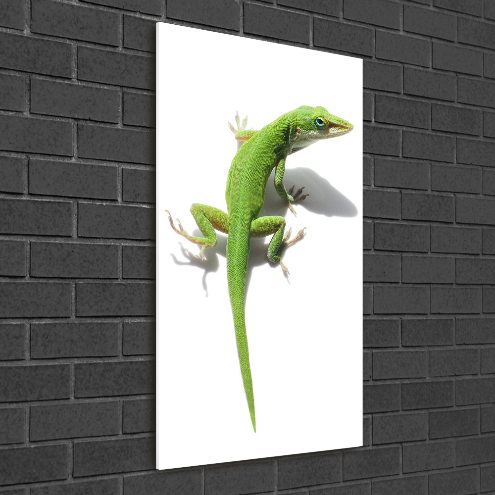 Print on a a glass Green lizard