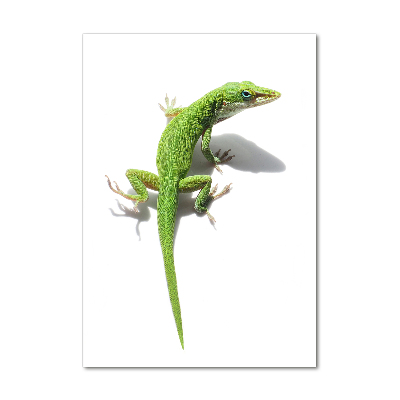 Print on a a glass Green lizard