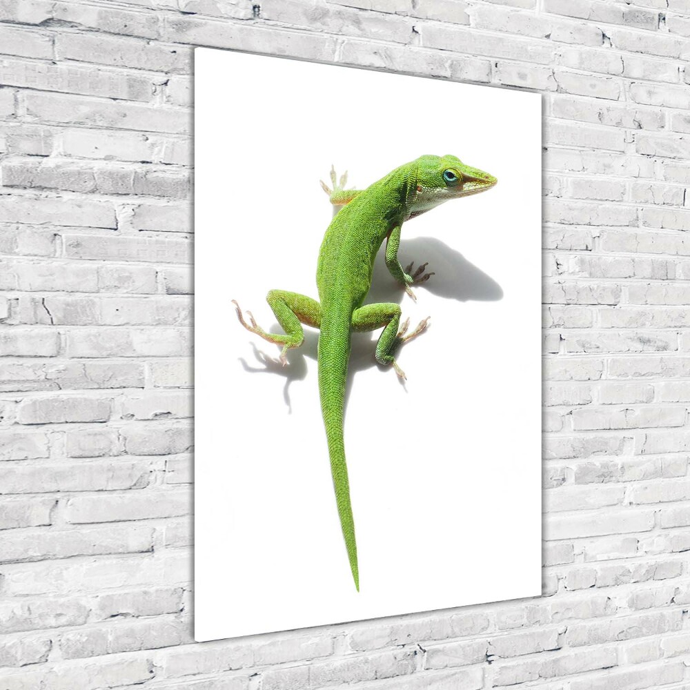 Print on a a glass Green lizard