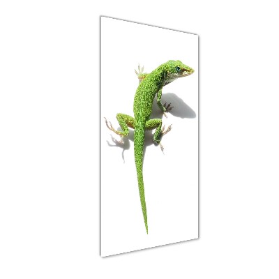 Print on a a glass Green lizard