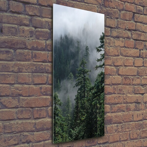 Print on a a glass Fog over the forest