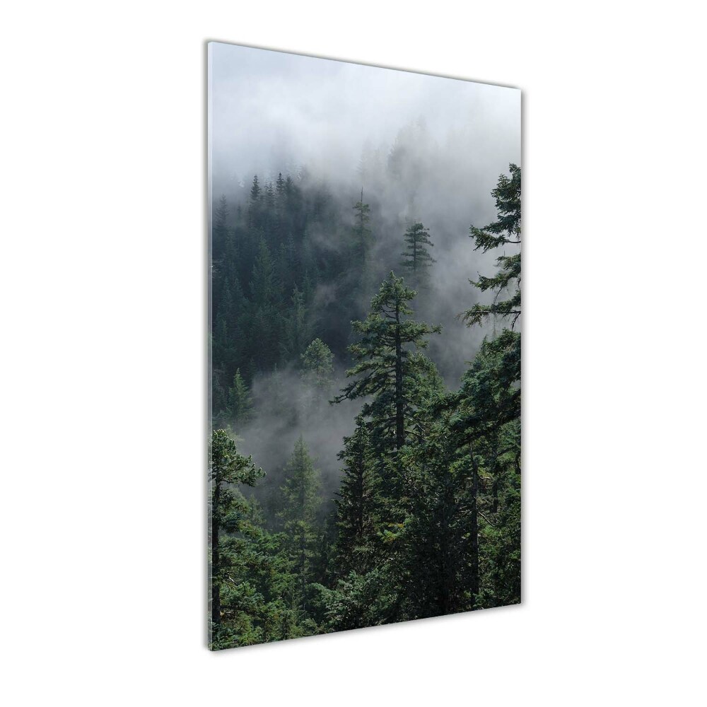 Print on a a glass Fog over the forest