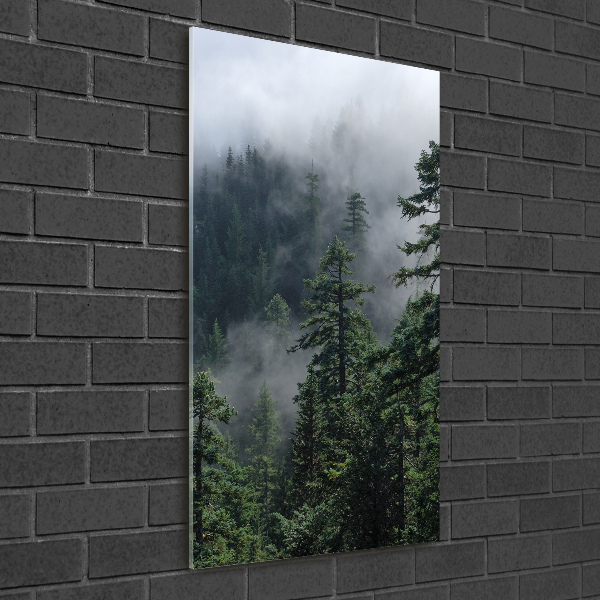 Print on a a glass Fog over the forest