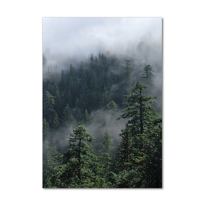 Print on a a glass Fog over the forest