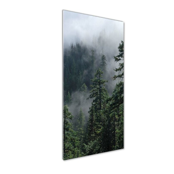 Print on a a glass Fog over the forest