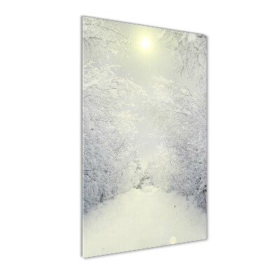 Glass wall art Forest in winter