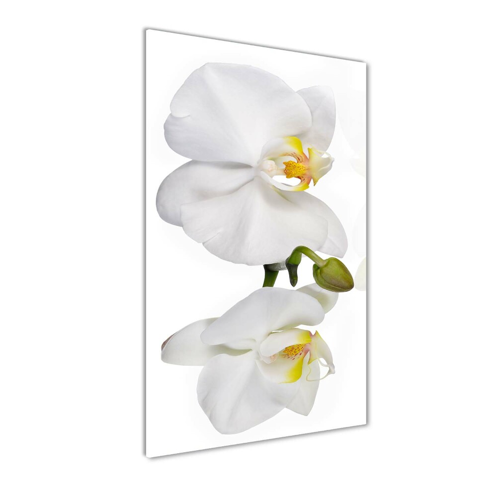 Glass art picture White orchid