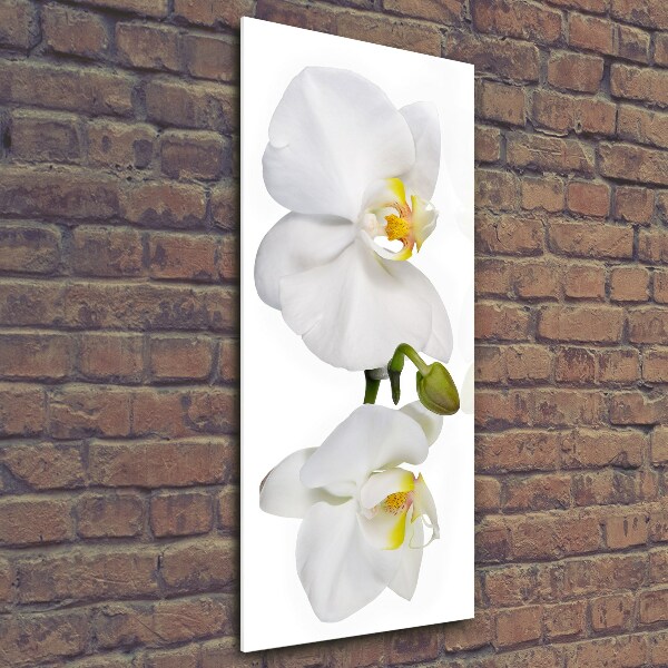 Glass art picture White orchid