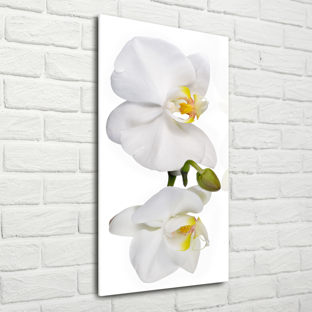 Glass art picture White orchid