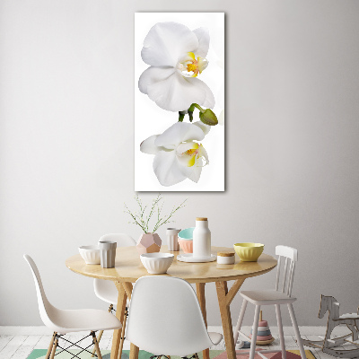 Glass art picture White orchid