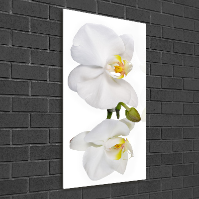 Glass art picture White orchid