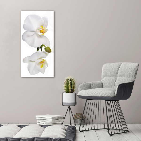 Glass art picture White orchid