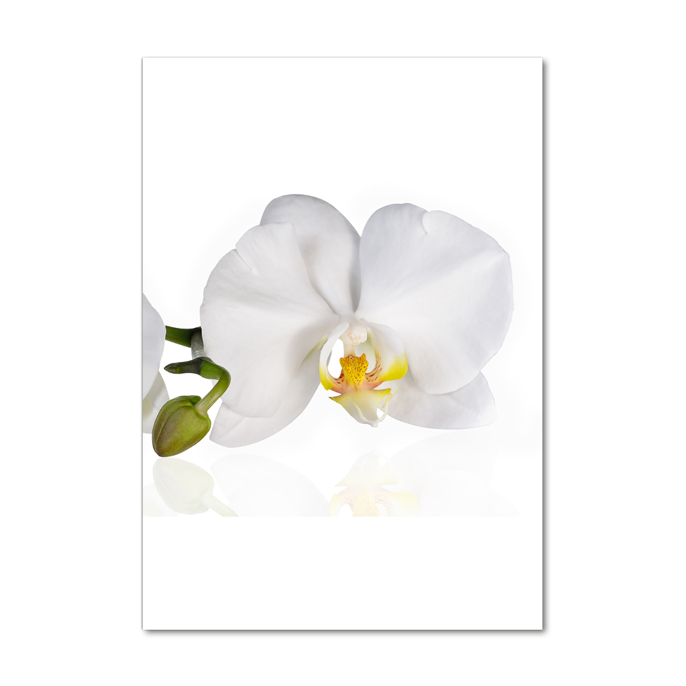 Glass art picture White orchid