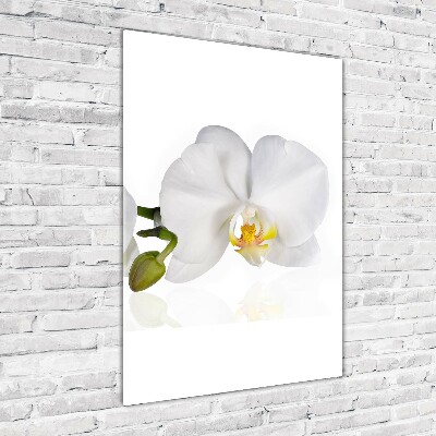 Glass art picture White orchid