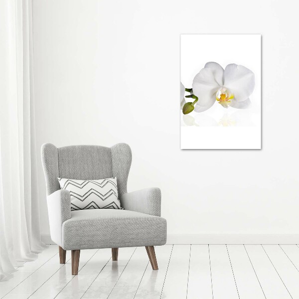 Glass art picture White orchid