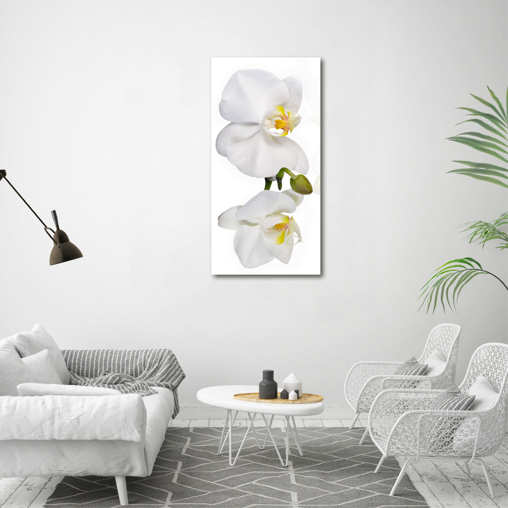 Glass art picture White orchid