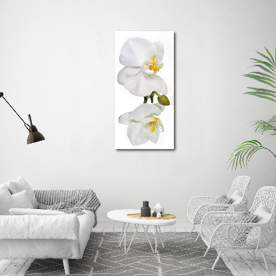 Glass art picture White orchid