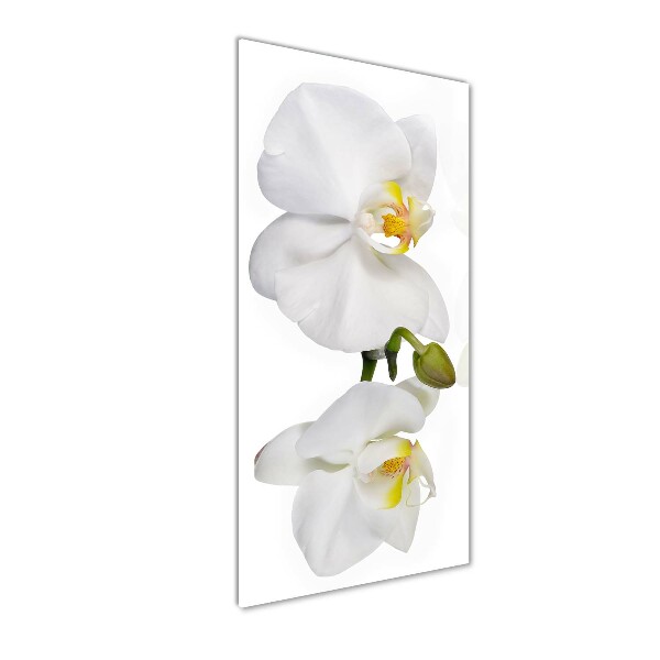 Glass art picture White orchid