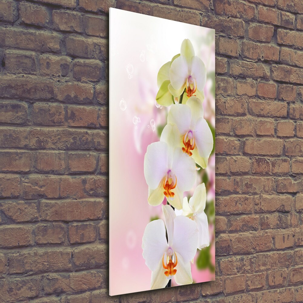 Glass art picture White orchid