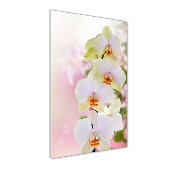 Glass art picture White orchid