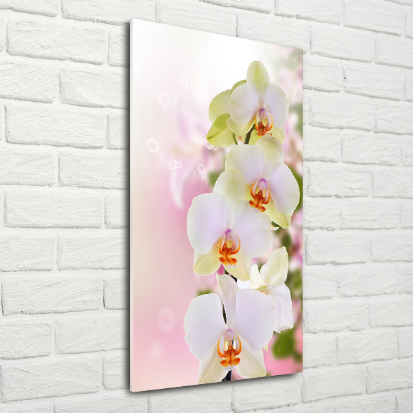 Glass art picture White orchid