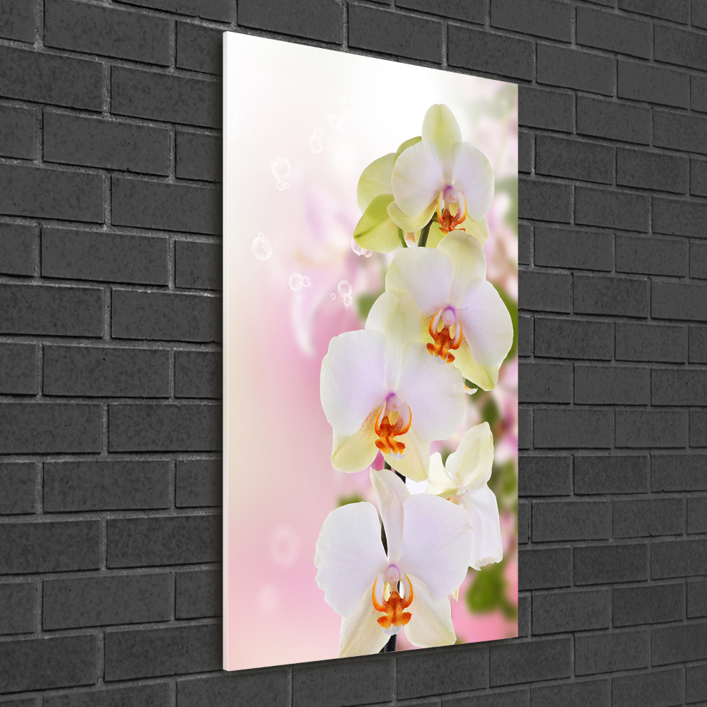 Glass art picture White orchid