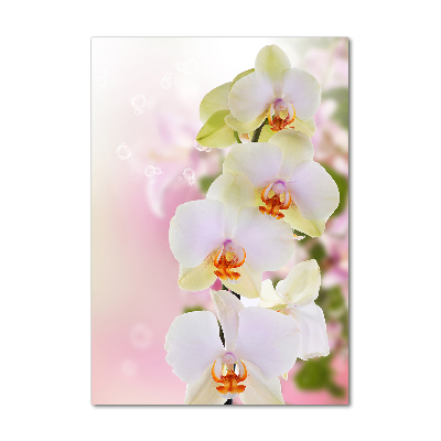 Glass art picture White orchid