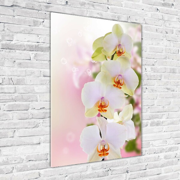 Glass art picture White orchid