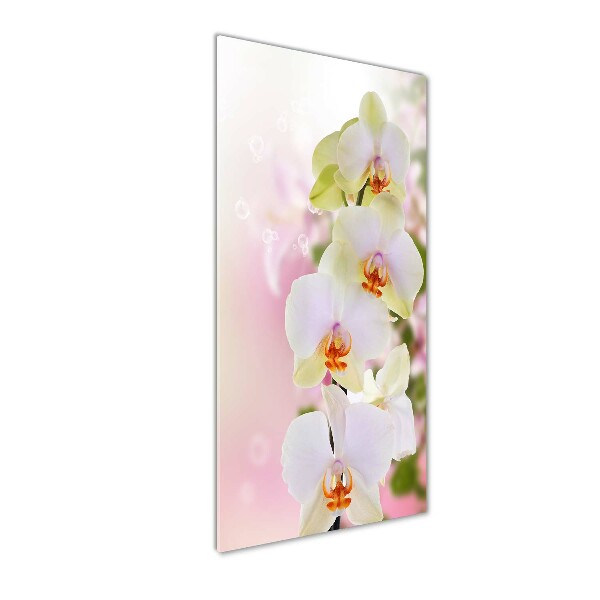 Glass art picture White orchid