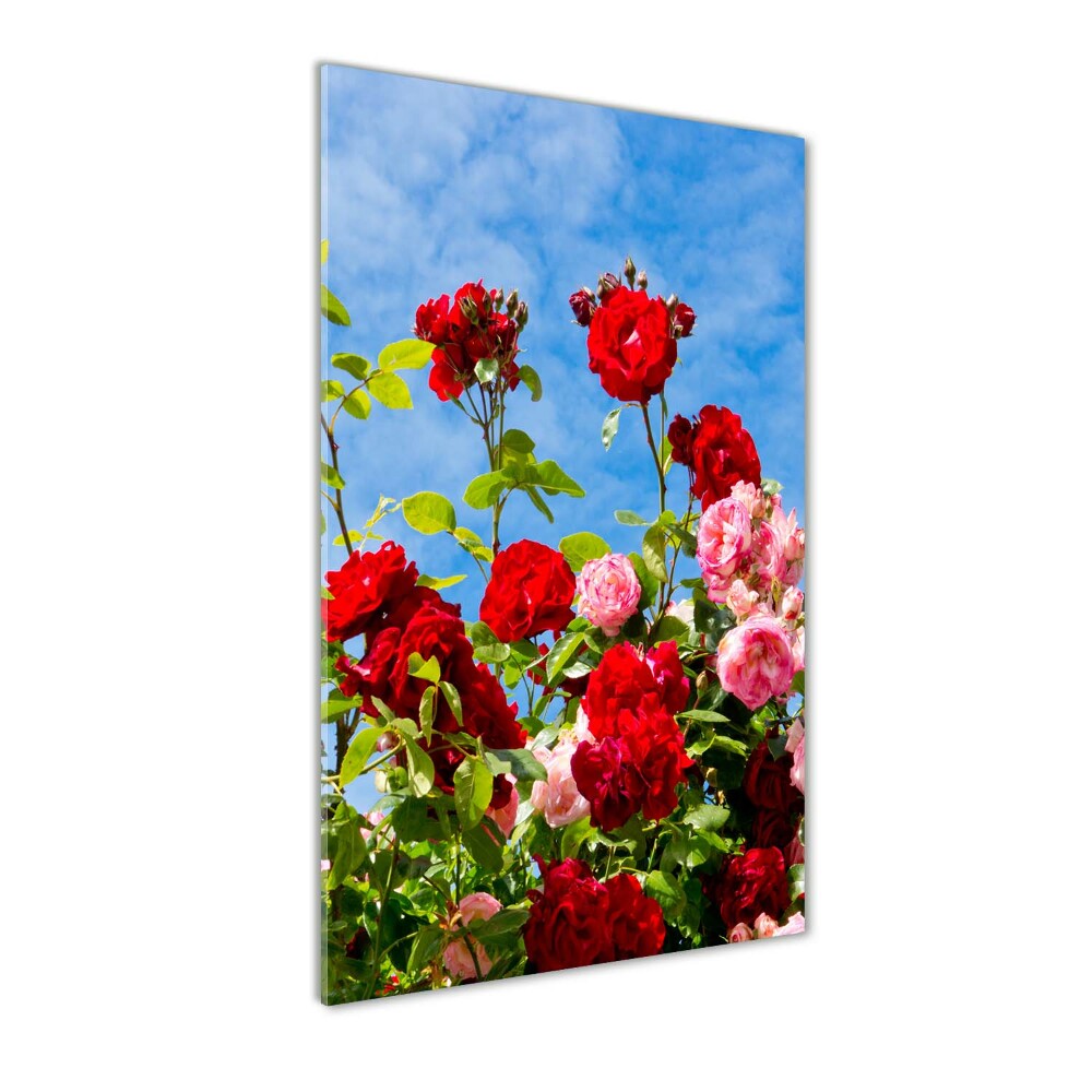 Photo printed on glass Wild Rose